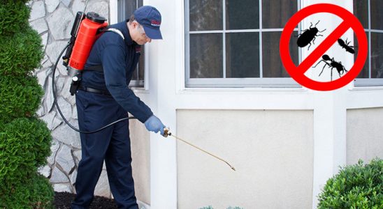 Dedebaşı Tahtakurusu İlaçlama böcek ilaçlama ve haşere kontrolü — ilaclama-tr.com